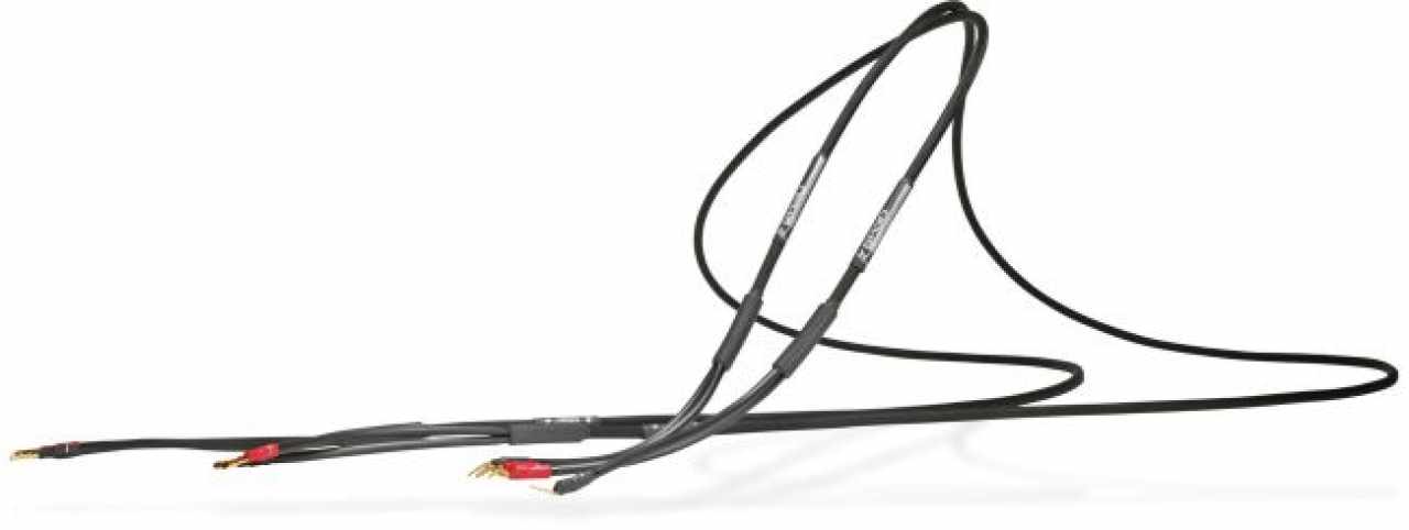 SYNERGISTIC RESEARCH SR30 Hangsugárzó kábel 3,3m SPADE-SPADE
